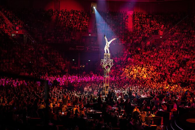 05.12.2026 Night of the Stars Show Ticket with Exclusive Access - A ticket that supports a charitable initiative