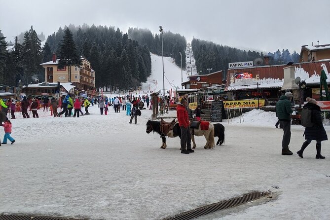 5-Day Ski Equipment Rental in Borovets - Who Will Get the Most From This Rental