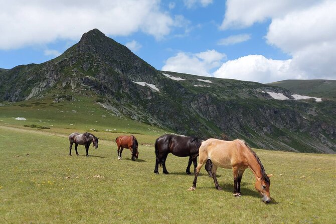 7 Rila Lakes and Rila Monastery Small Group Day tour from Sofia - The guide and the small-group advantage