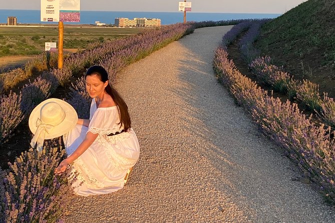 Aroma sampling of 5 Bulgarian Lavender varieties at DiVes Winery - Who will enjoy this short coastal stop?