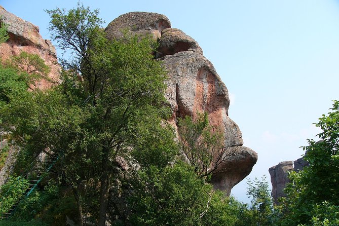 Belogradchik Full-day Tour from Sofia - Guides, group size, and the feel of the day