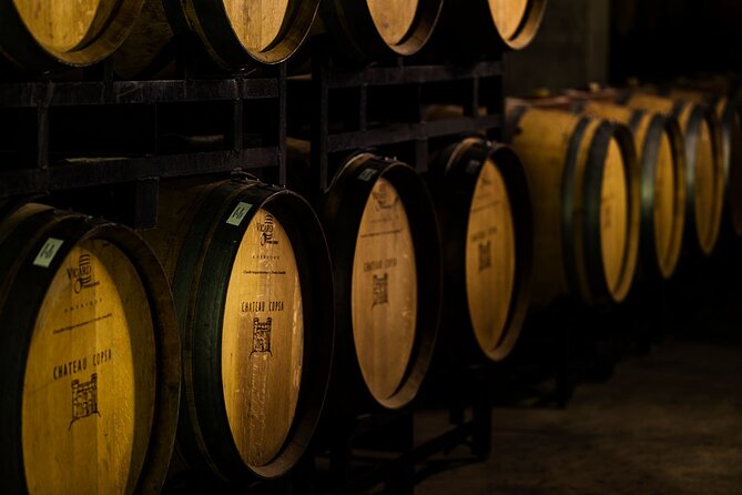 Chateau Copsa Wine Tasting Tours & Activities - The Winery Visit: Start With the Wine