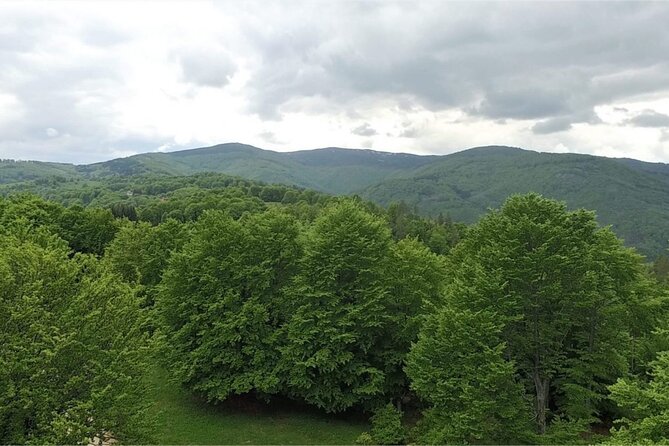 From Sofia: Serbia and Macedonia Trip - The Osogovski Monastery, the day’s strongest stop