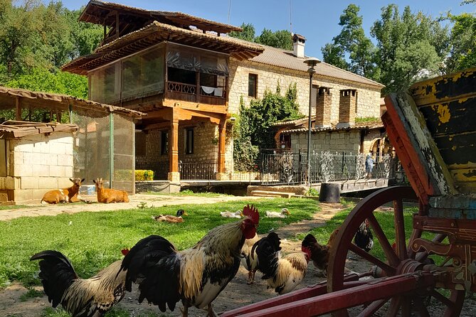 Full-Day Small-Group Tour of Bulgaria by Minivan with Lunch - Roman Mosaics at the Museum
