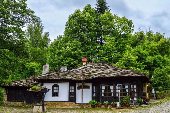 Full-Day Tour to Veliko Tarnovo Reserve of Bozhentsi and Etar from Sofia - Etar’s water-powered machines and craft street
