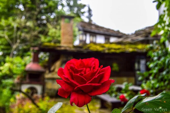 Full-Day Tour to Veliko Tarnovo Reserve of Bozhentsi and Etar from Sofia - Booking, cancellation, and weather details