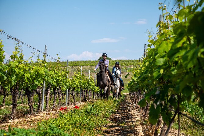 Half-Day of Horseback Adventure with Wine Tasting - Key points to know before booking
