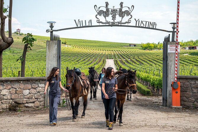Half-Day of Horseback Adventure with Wine Tasting - Riding among vineyards at the foothills of the Rhodopes