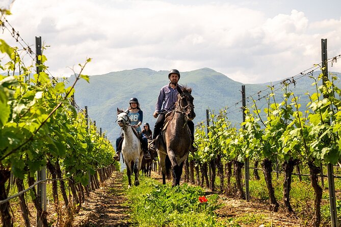 Half-Day of Horseback Adventure with Wine Tasting - What the $179.01 price really covers