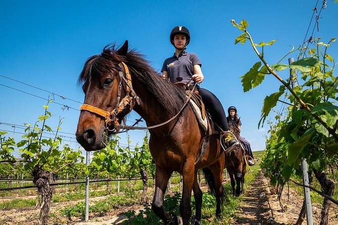 Half-Day of Horseback Adventure with Wine Tasting - Why Lubo can make or break the day