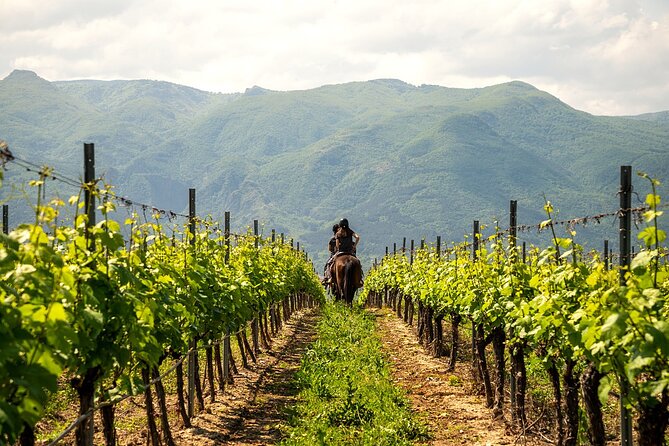 Half-Day of Horseback Adventure with Wine Tasting - Who should book this horseback outing?