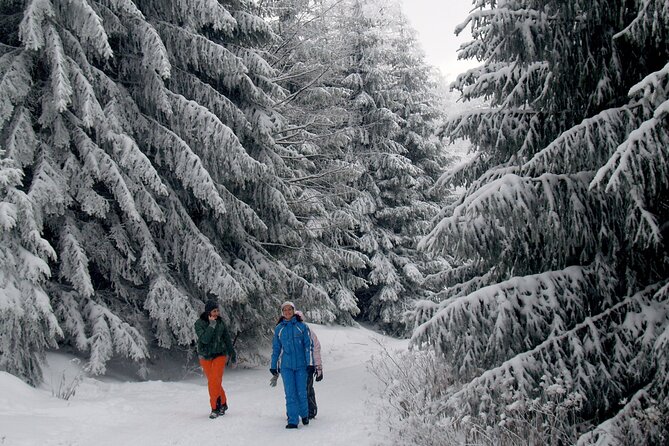 Hike in The Central Balkan National Park - What the $40.49 price really covers