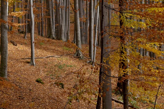 Hike in The Central Balkan National Park - Day 1: Karnare to the first mountain hut