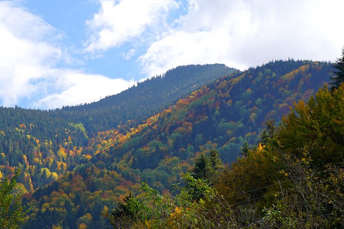 Incredible Day tour from Sofia to 7 Rila lakes and Rila monastery - A quick stop at Bulgaria’s natural geyser