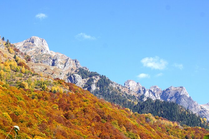 Incredible Day tour from Sofia to 7 Rila lakes and Rila monastery - The guides make a real difference