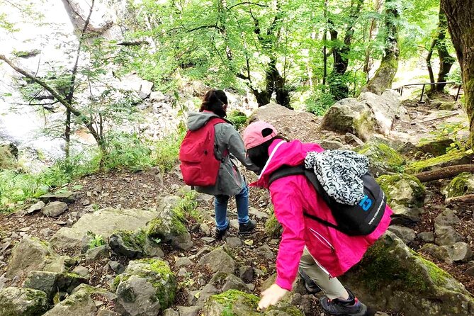 Mt. Vitosha and Boyana Waterfall Hiking Tour from Sofia - Why Vitosha makes such a good Sofia day trip