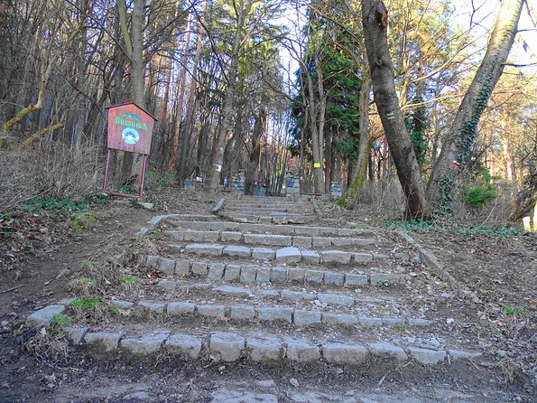Mt. Vitosha and Boyana Waterfall Hiking Tour from Sofia - Boyana Waterfall, a different kind of mountain stop
