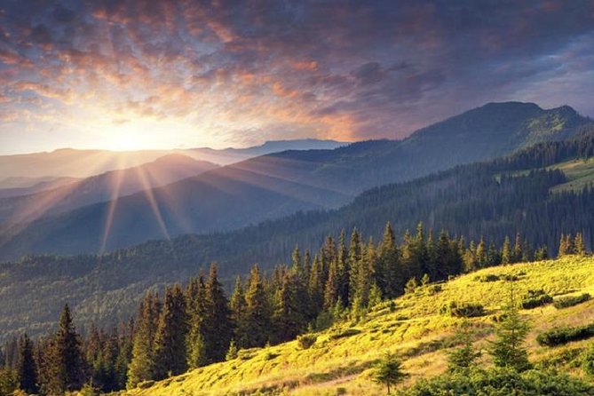 Mt. Vitosha and Boyana Waterfall Hiking Tour from Sofia - Guides, route choices, and safety