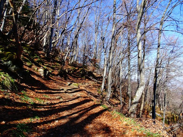 Mt. Vitosha and Boyana Waterfall Hiking Tour from Sofia - Fitness, footwear, and what to pack