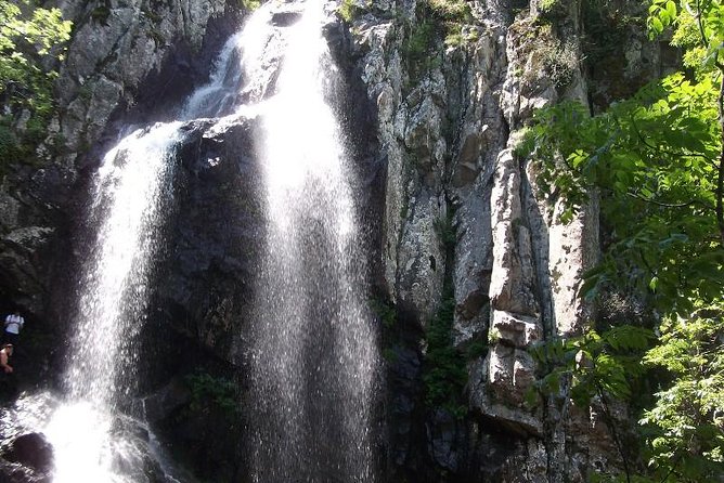 Mt. Vitosha and Boyana Waterfall Hiking Tour from Sofia - Is $131.81 good value?