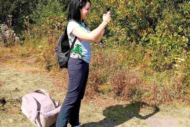 Mt. Vitosha and Boyana Waterfall Hiking Tour from Sofia - Reaching the summit and seeing Sofia below