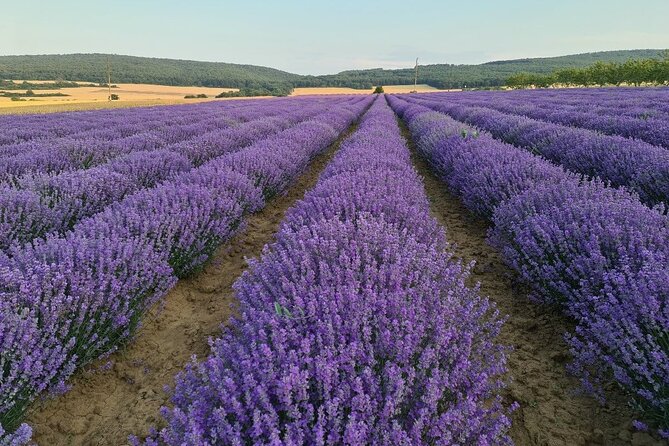 Nessebar: The best locations for a photo shoot & Lavender fields - Start at the Windmill and enter Old Nessebar