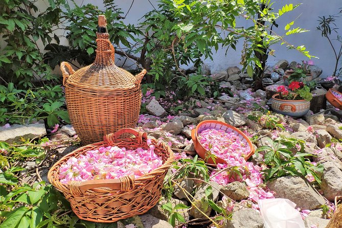 Picking Roses Workshop & Extracting Rose Oil in the Rose Valley - Private Groups, English Service, and Practical Fit