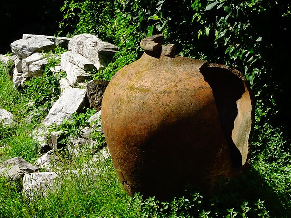 Plovdiv and Bachkovo Monastery tour from Sofia - Transport, timing, and group size