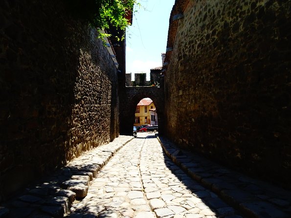 Plovdiv and Perushtitsa Day Trip with Wine Tasting from Sofia - Guides, drivers, and the small-group feel