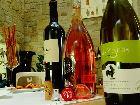 Plovdiv and Thracia Valley with Wine Tasting - Who should book this day trip?