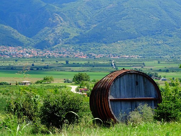 Plovdiv and Thracia Valley with Wine Tasting - Should you book Plovdiv and Villa Yustina?