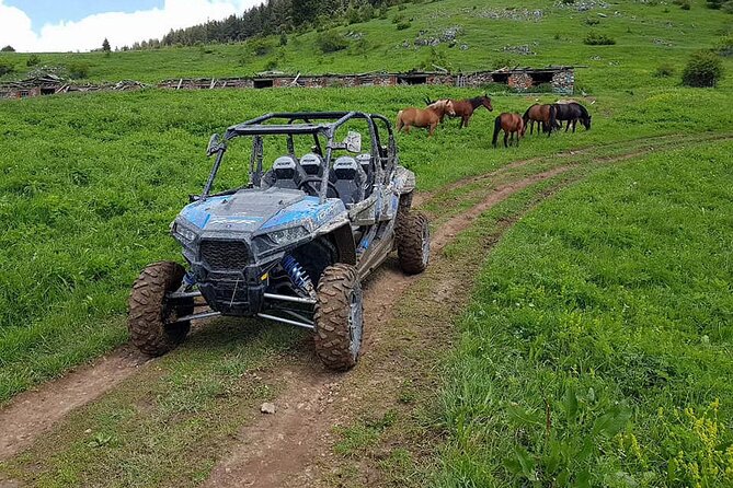 Private 1-Hour Quad or Buggy Safari in Borovets - Timing, meeting point, and cancellation