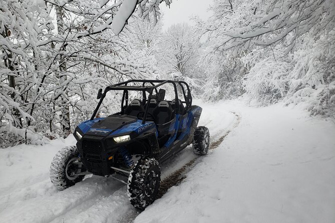 Private 1-Hour Quad or Buggy Safari in Borovets - Rila Mountain routes with a quad or buggy