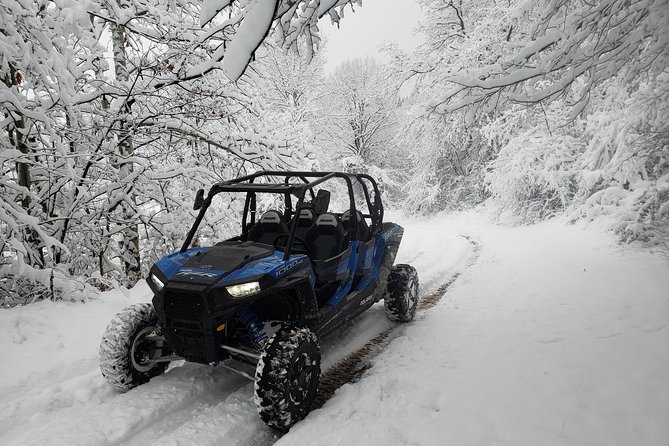 Private Buggy Experience All Seasons in Pamporovo - Key points before you book