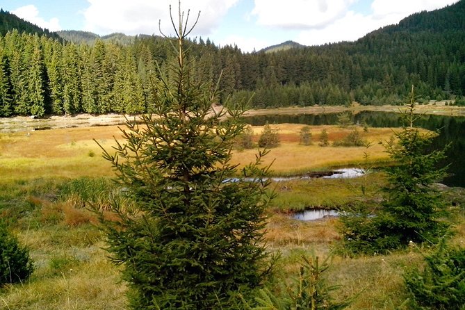 Private Buggy Experience All Seasons in Pamporovo - Why the Rhodopes suit a buggy ride
