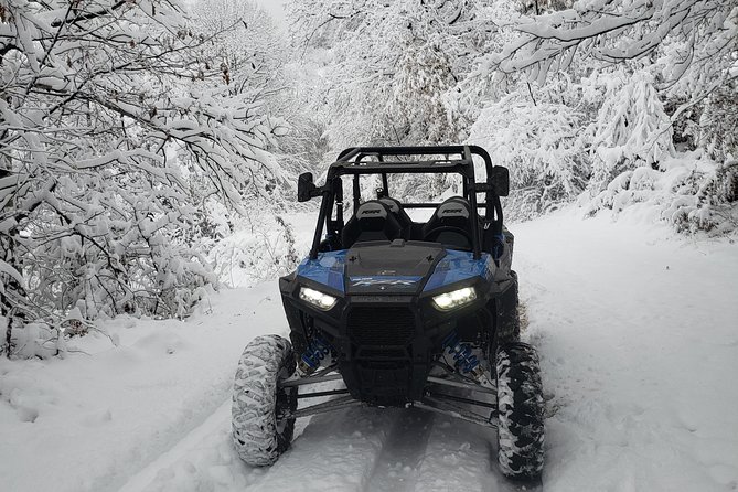 Private Buggy Experience All Seasons in Pamporovo - Price, deposit, and what you actually receive