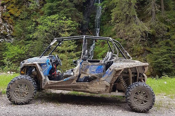 Private Buggy Experience All Seasons in Pamporovo - What the one-hour route feels like