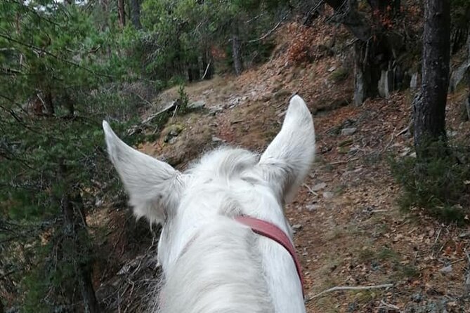 Private Cascades Waterfall Horseback Riding Tour from Smolyan - Waterfalls Canyon and its eco path