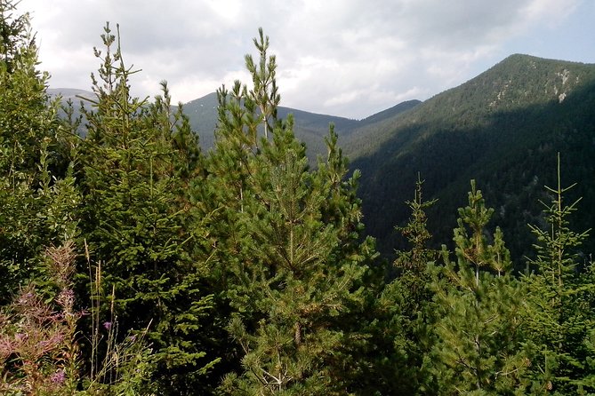 Private Horse Riding in the Balkan from Sofia - Why this private Sofia horse ride is different