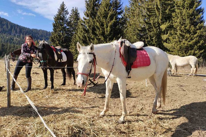 Private Horse Riding in the Balkan from Sofia - Skoka Falls and the changing route