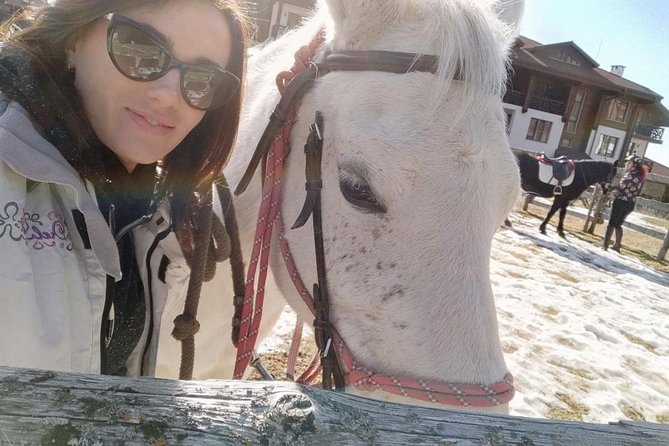 Private Horseback Riding the Rila Range - Key points at a glance