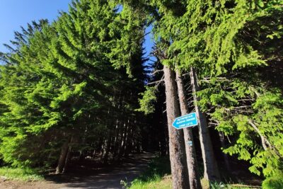 Private Mountain Biking in Vitosha from Sofia
