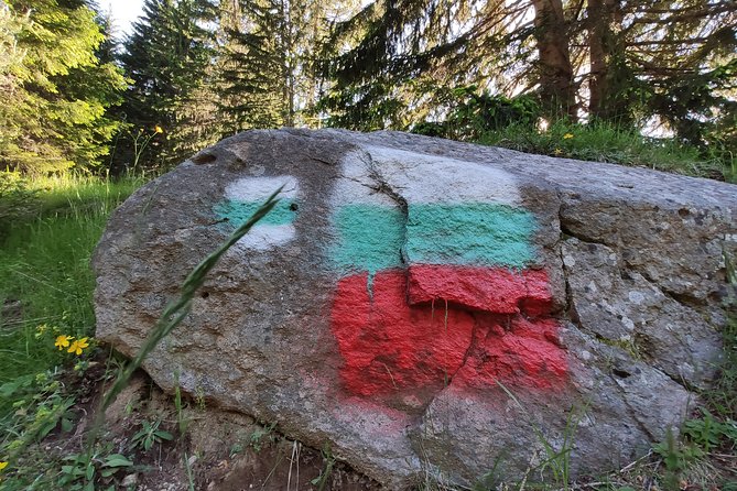Private Mountain Biking in Vitosha from Sofia - What the e-guide adds