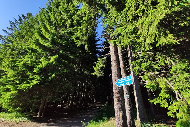 Private Mountain Biking in Vitosha from Sofia - The hardtail bike and helmet setup