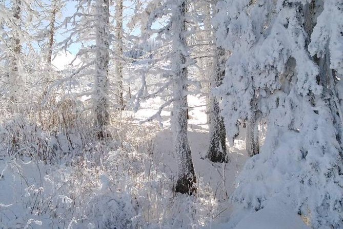 Private Vitosha Mountains Hiking with Black peak & Dragalevtsi Monastery - The self-guided option needs a different mindset