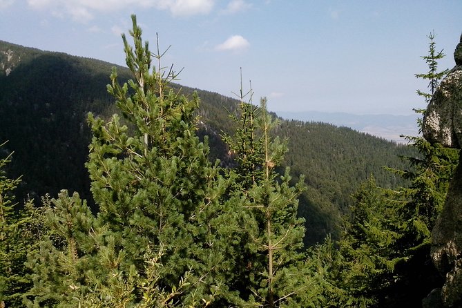 Private Vitosha Mountains Hiking with Black peak & Dragalevtsi Monastery - The five-hour mountain portion