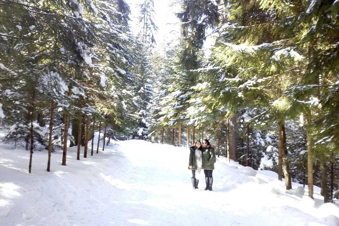 Private Winter Day Trip to the Rila Mountain - Borovets: choose your kind of snow day