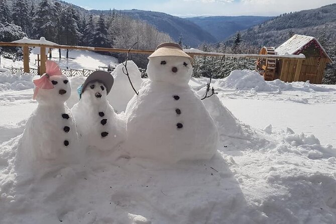 Rila Fun Park Packages with Tickets and E-Guide from Bansko - Why the braking system matters