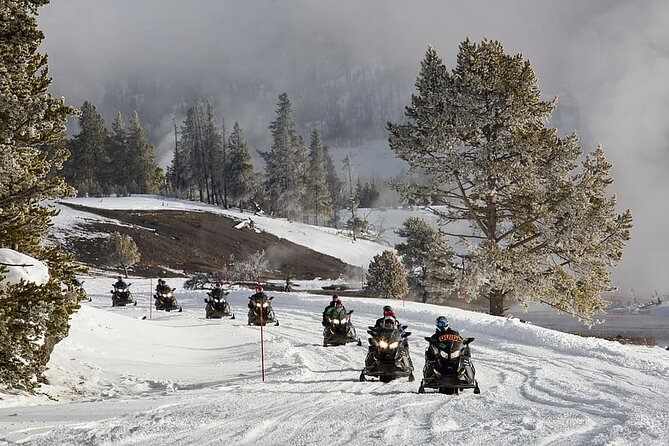 Ski-doo Snow Safari in Borovets - Riding slowly through the Borovets forest