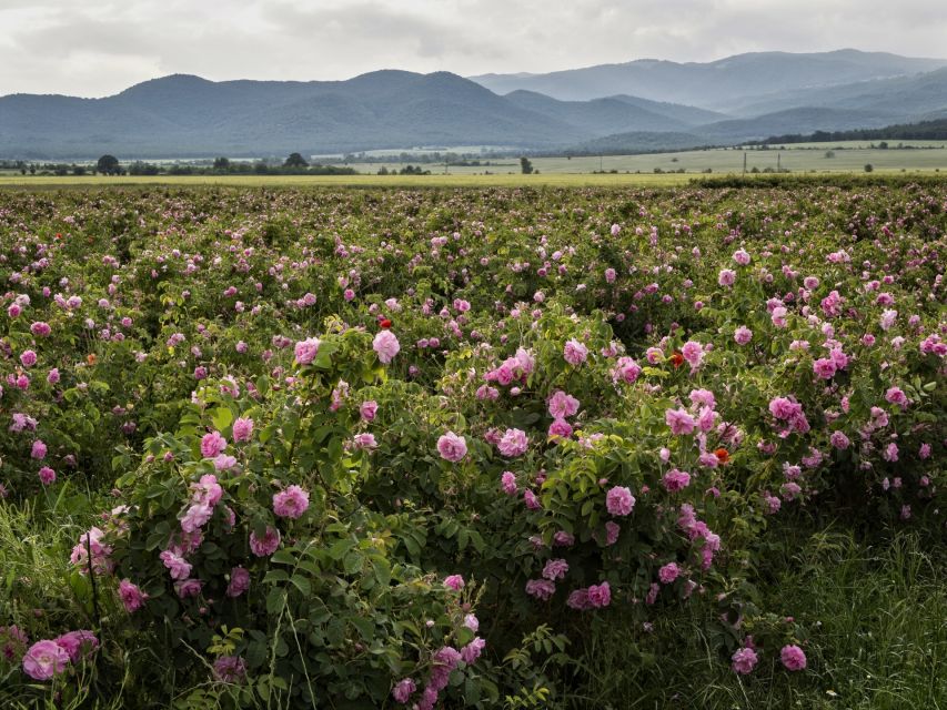 Sofia, Plovdiv, and The Rose Valley in 2 Days - Sofia begins at Boyana Church